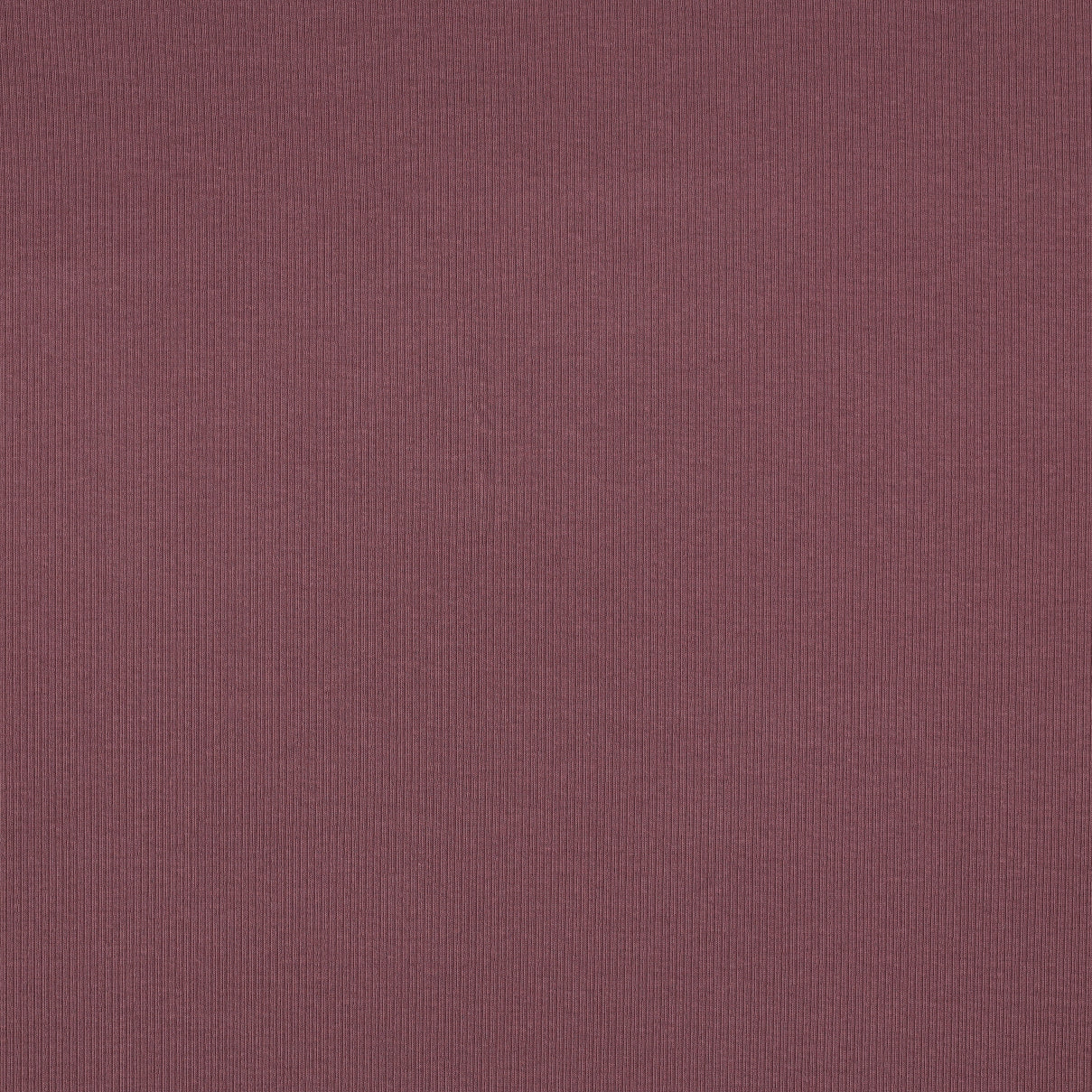 01072.060 RIB JERSEY - AUBERGINE